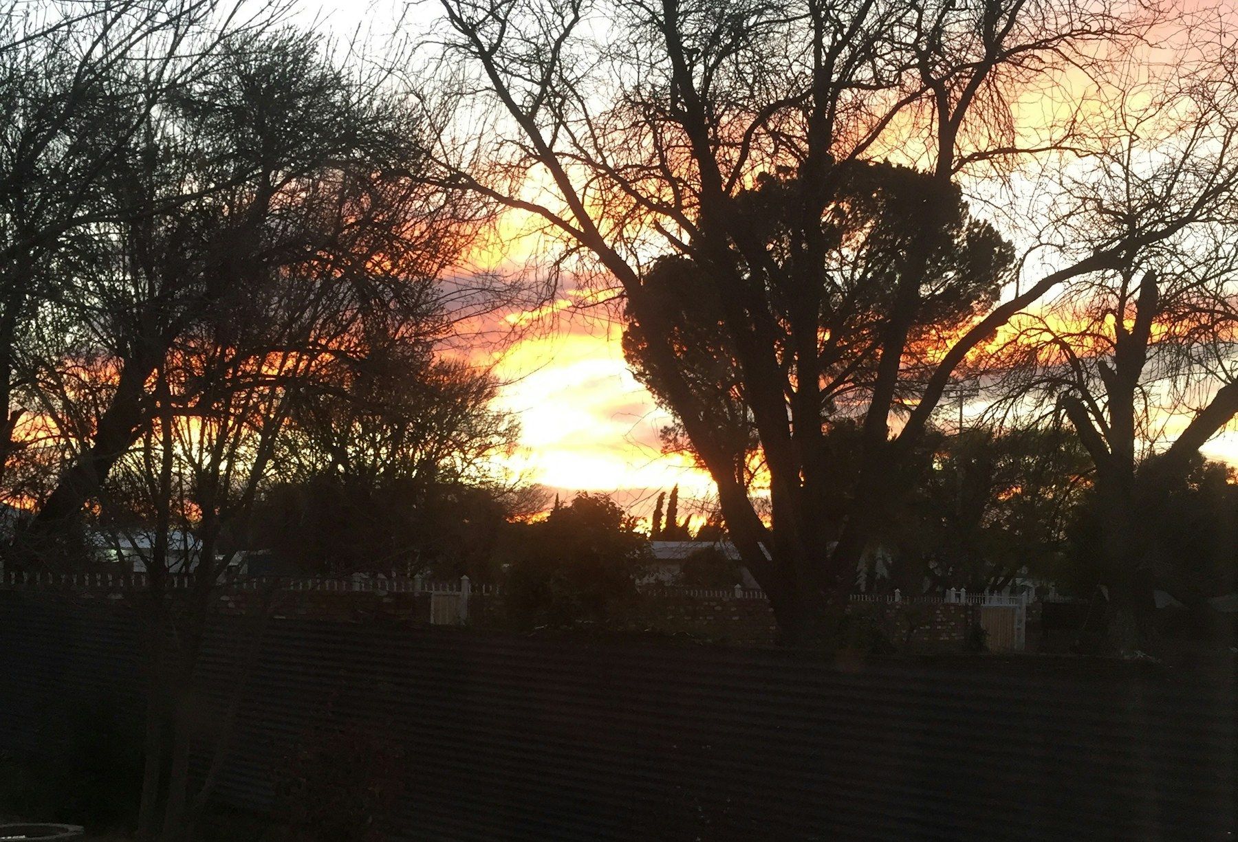 Sonsondergang oor die bome